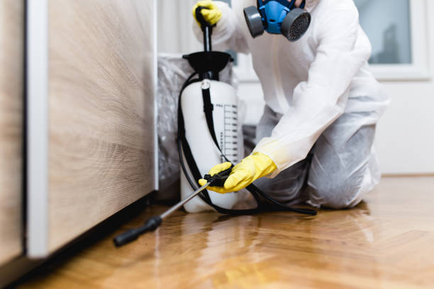 Best Pest Removal Services  in Baldwin, PA